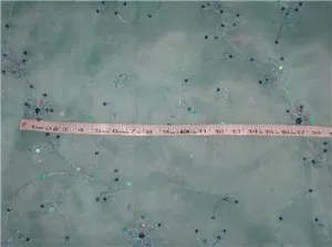 100 % silk organza fabric sky blue colour embroidered 54" wide [8262]