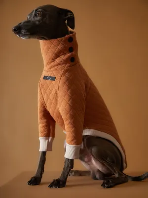 Italian Greyhound / Whippet Terracotta Quilted Turtleneck Sweater BAGUETTE