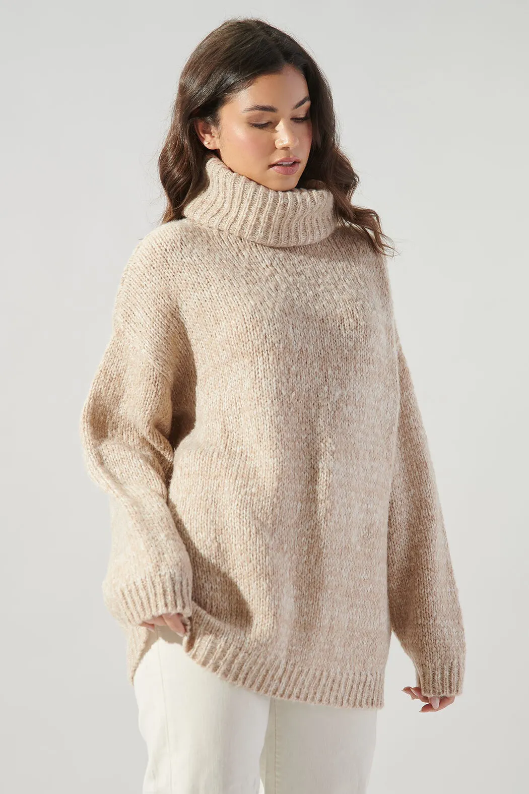 Salt and Pepper Turtleneck Sweater