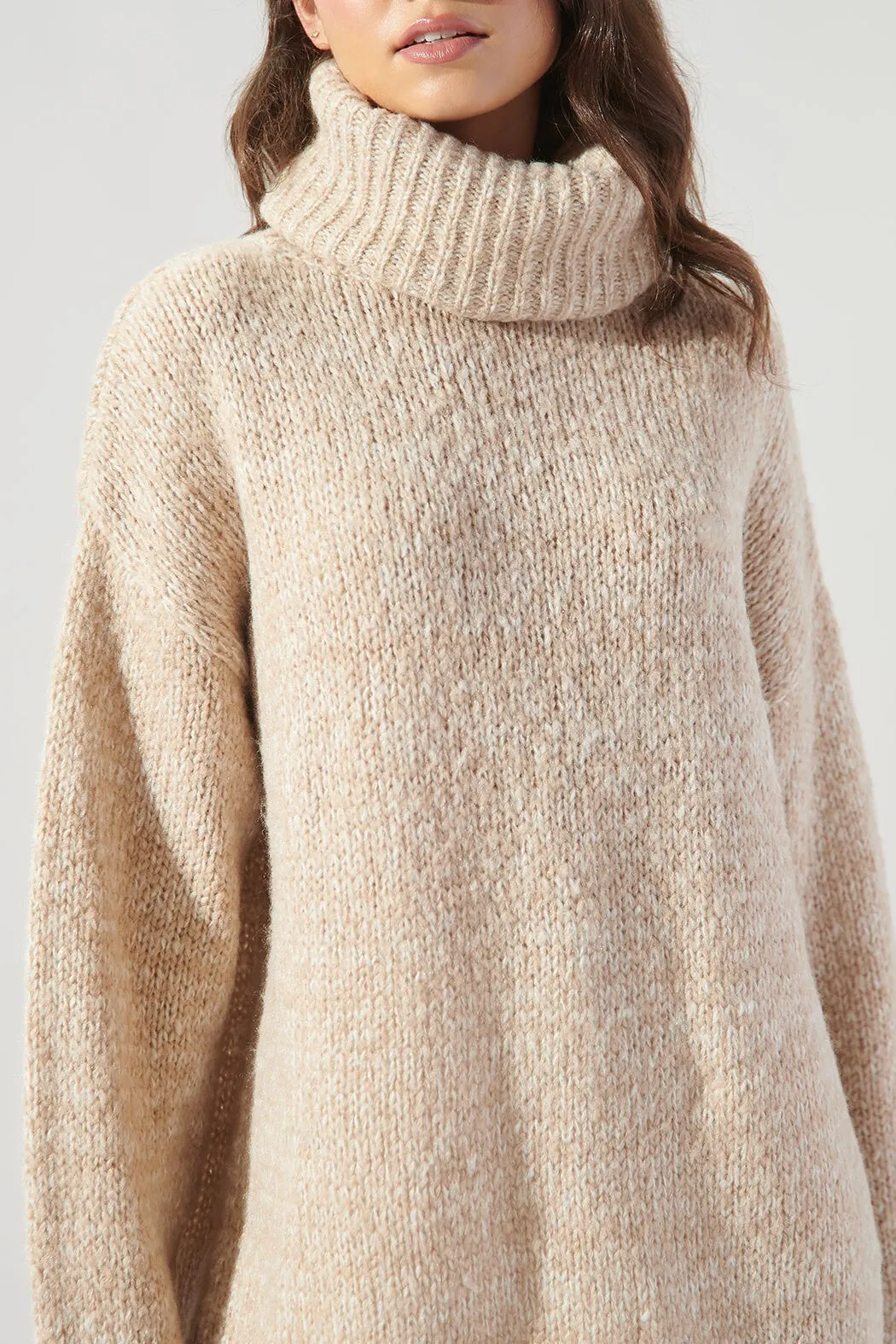 Salt and Pepper Turtleneck Sweater